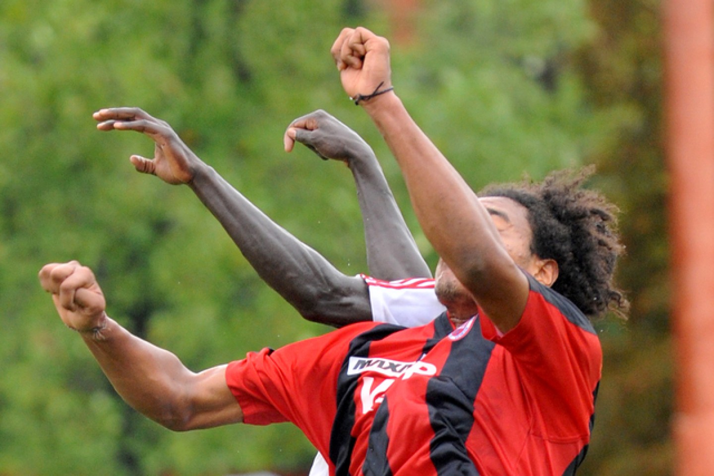 La Virtus chiama, Malesani risponde. Per una sera l’allenatore veronese torna a dare lezione di calcio