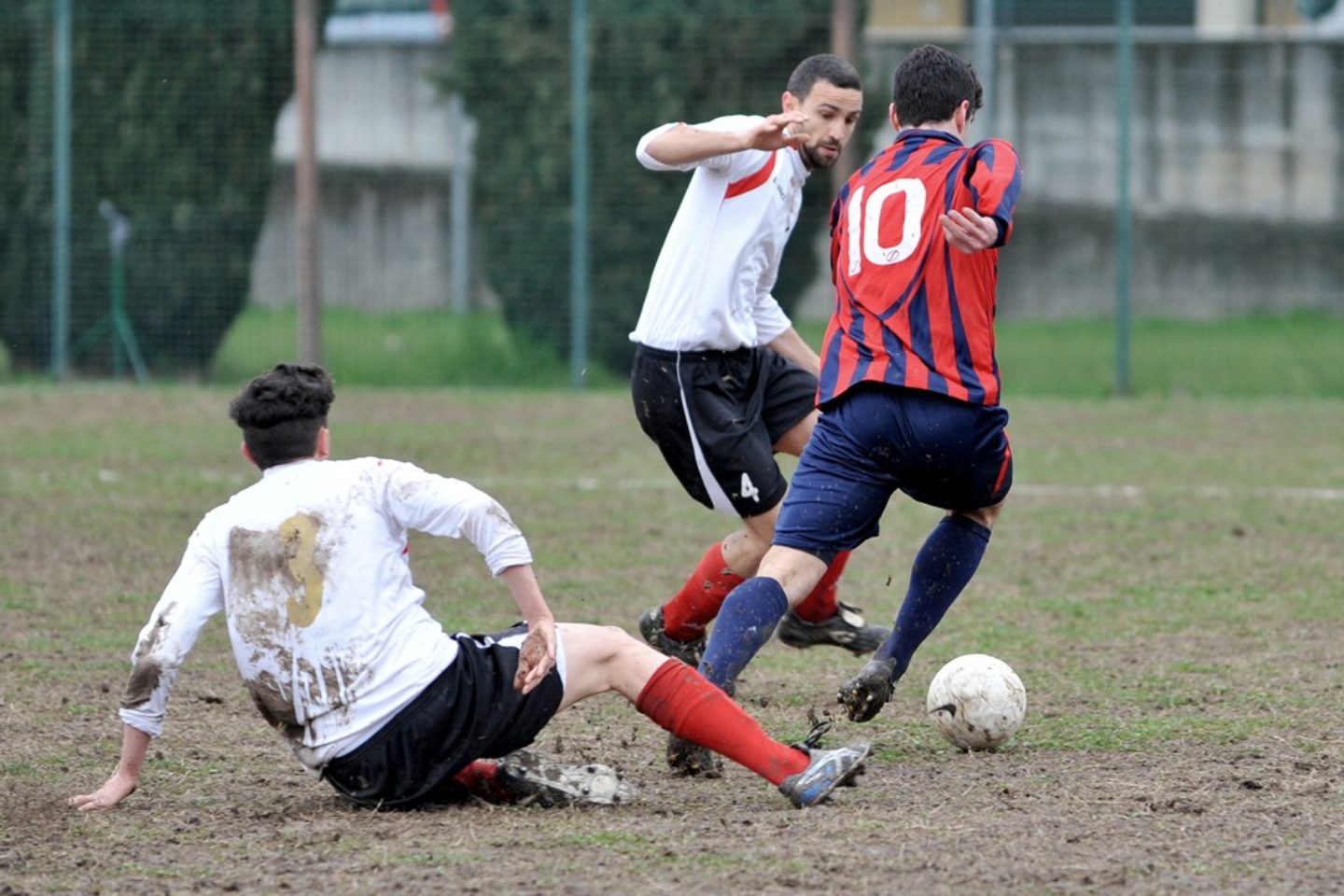 LINEA GREEN. Polisportiva Virtus, non cambia la politica: fiducia ai giovani. Sette innesti per mister Annechini