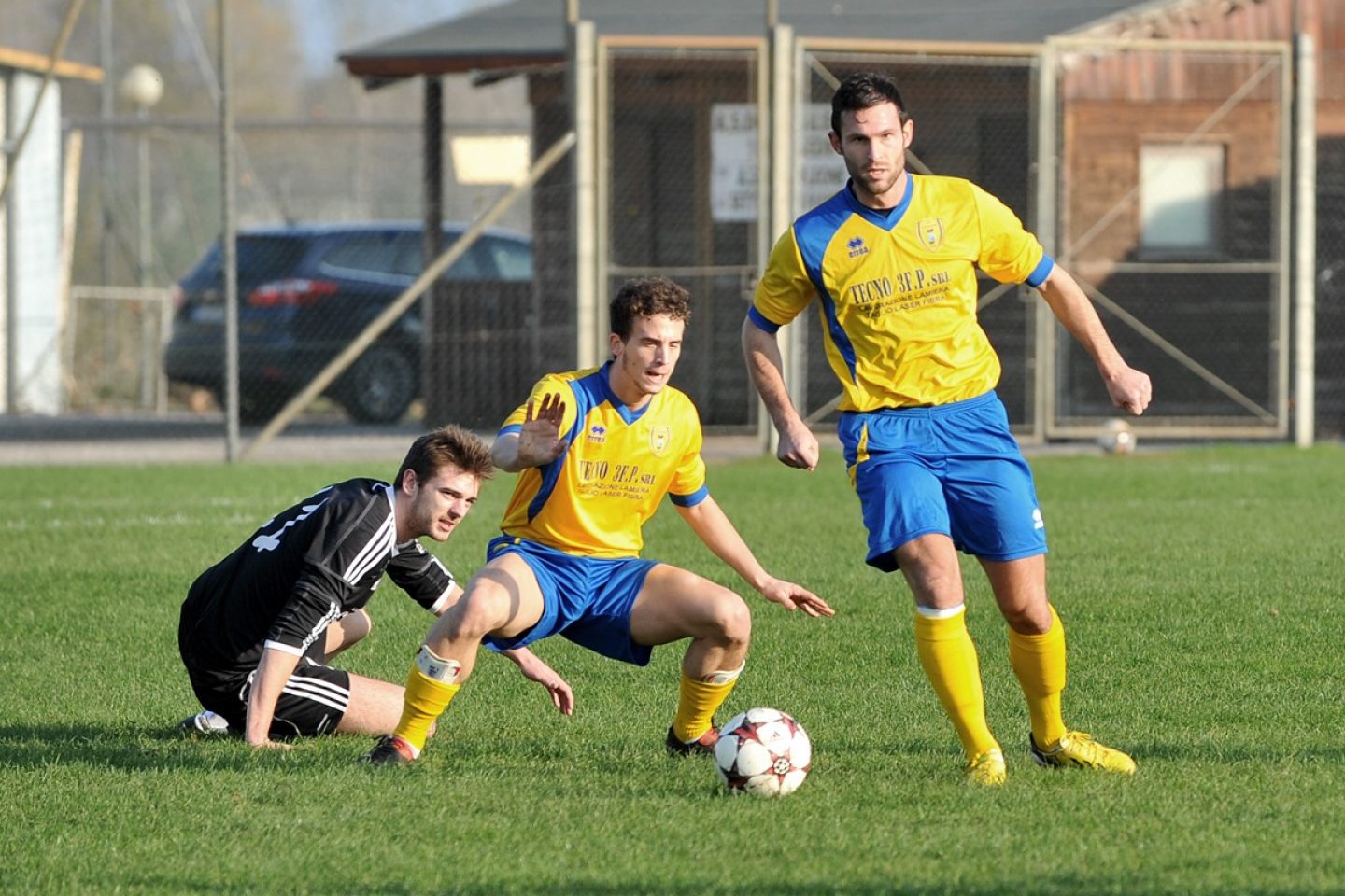 Casaleone, rotta verso l’alto. Il diesse Todeschini: “Predisposta una rosa per puntare ai play-off”