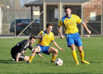 Casaleone, rotta verso l’alto. Il diesse Todeschini: “Predisposta una rosa per puntare ai play-off”